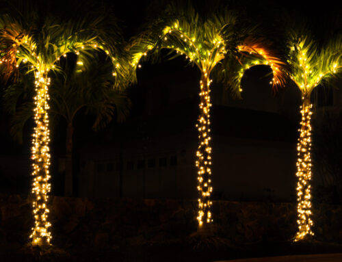 Holiday 2021 Events and Activities